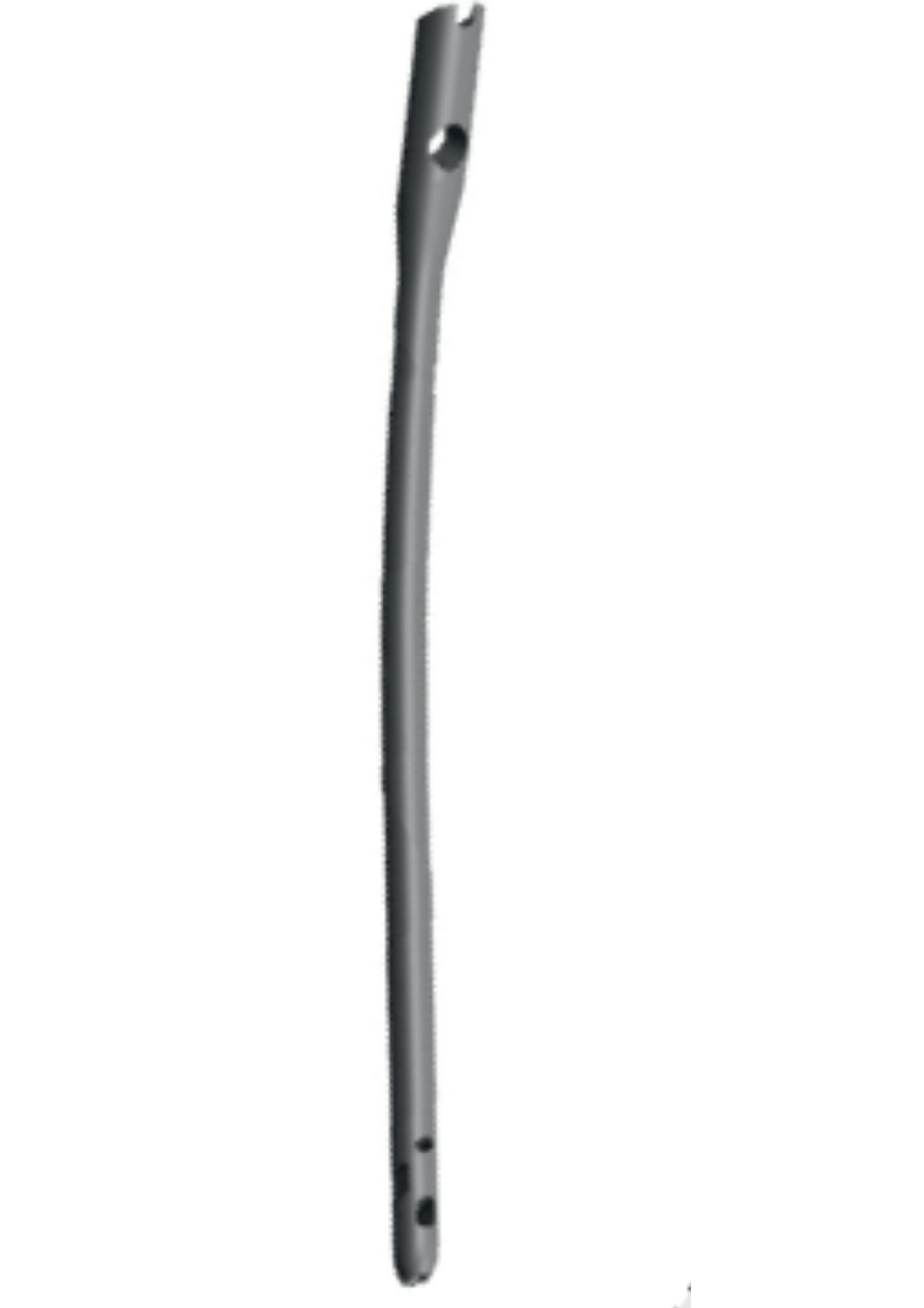 Proximal Femur Nail (PFNA 2) Long